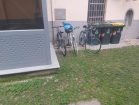 Immagine WhatsApp 2023-11-21 ore 10.46.35_cb935f78