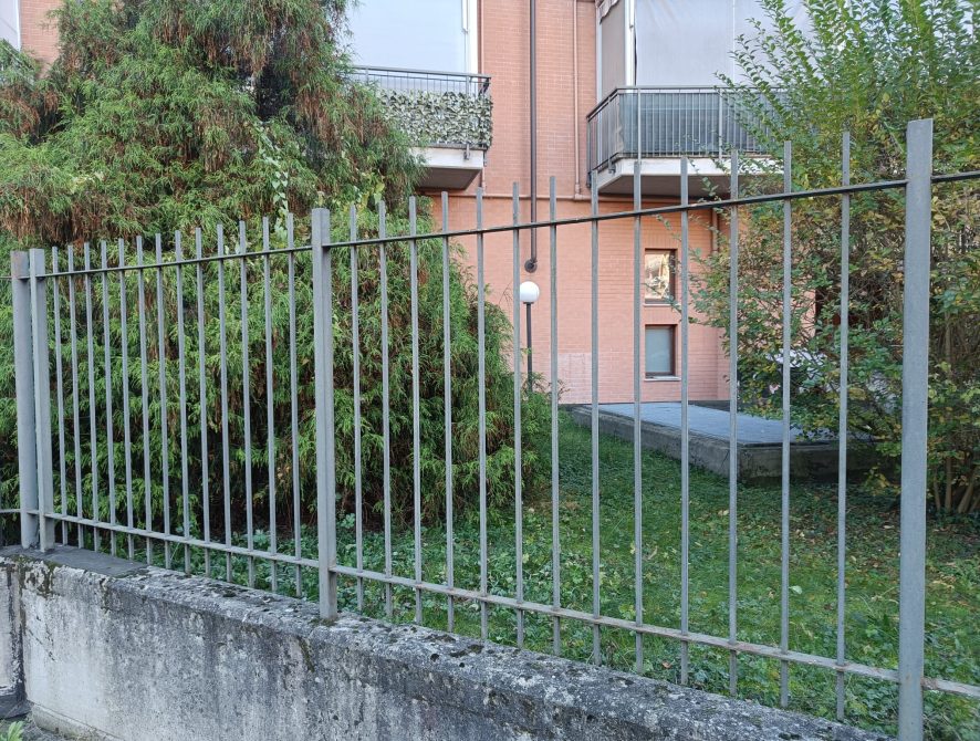 Immagine WhatsApp 2023-11-27 ore 11.25.21_17a3b2fe
