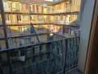 IMG-20240206-WA0042